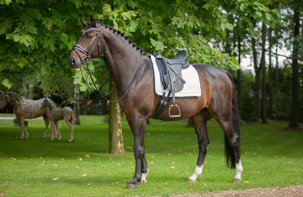 Philosophie der Maßanfertigung – Maßsattlerei Hennig