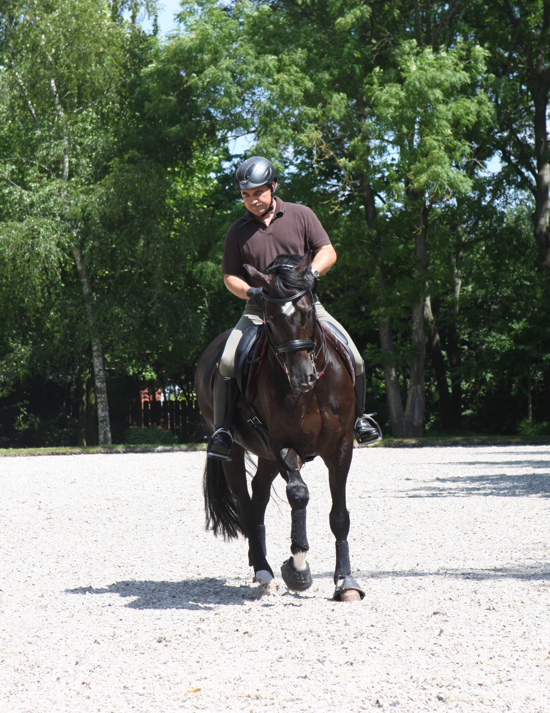 Reitanlage Hennig – Maßsattlerei Hennig