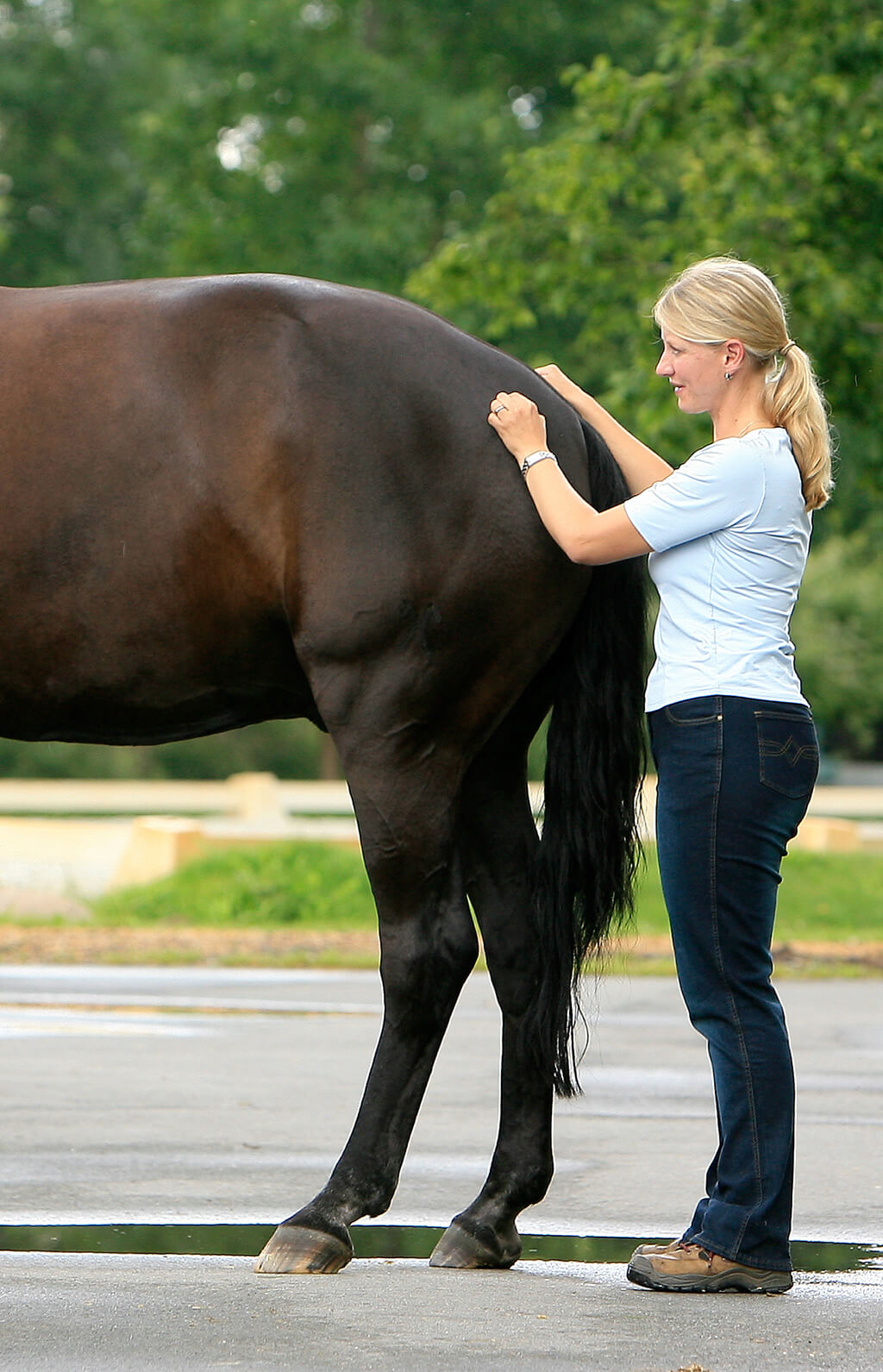 Rehaservice – Maßsattlerei Hennig